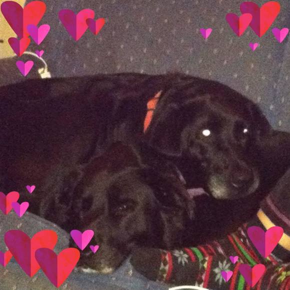 Meet your Posher, Shelly - Picture 1 of 1